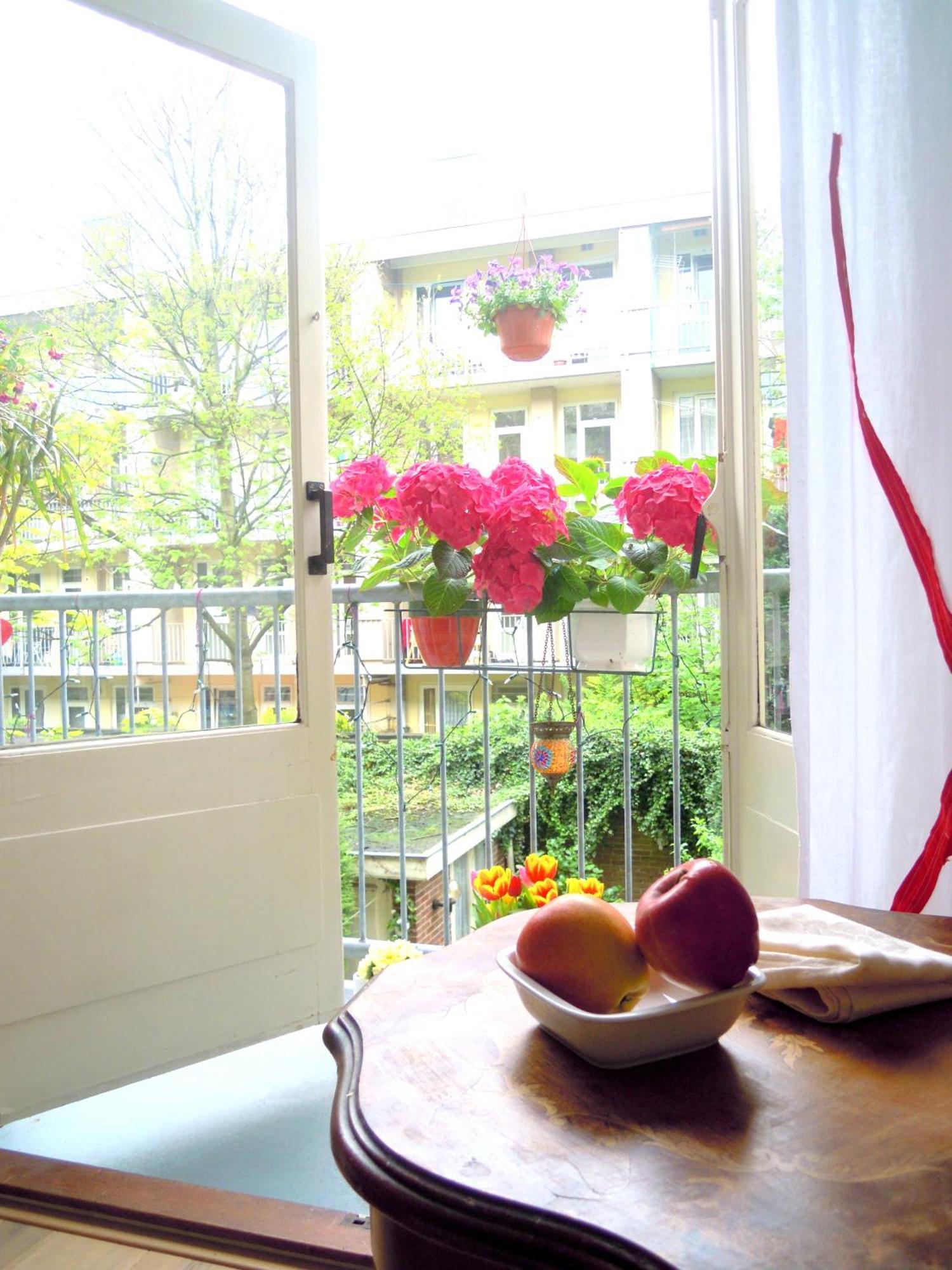 Missortelia B&B Amsterdam Zewnętrze zdjęcie