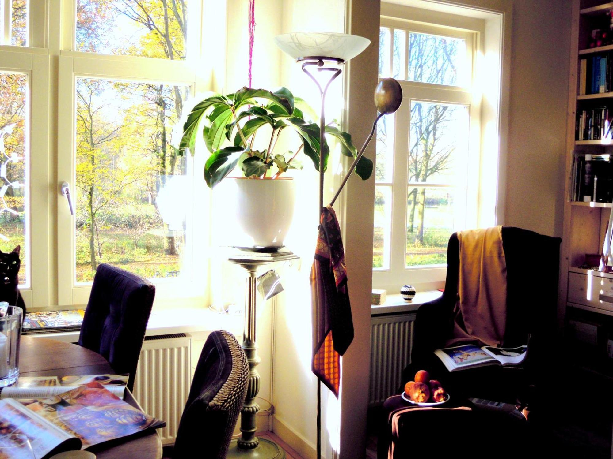 Missortelia B&B Amsterdam Zewnętrze zdjęcie