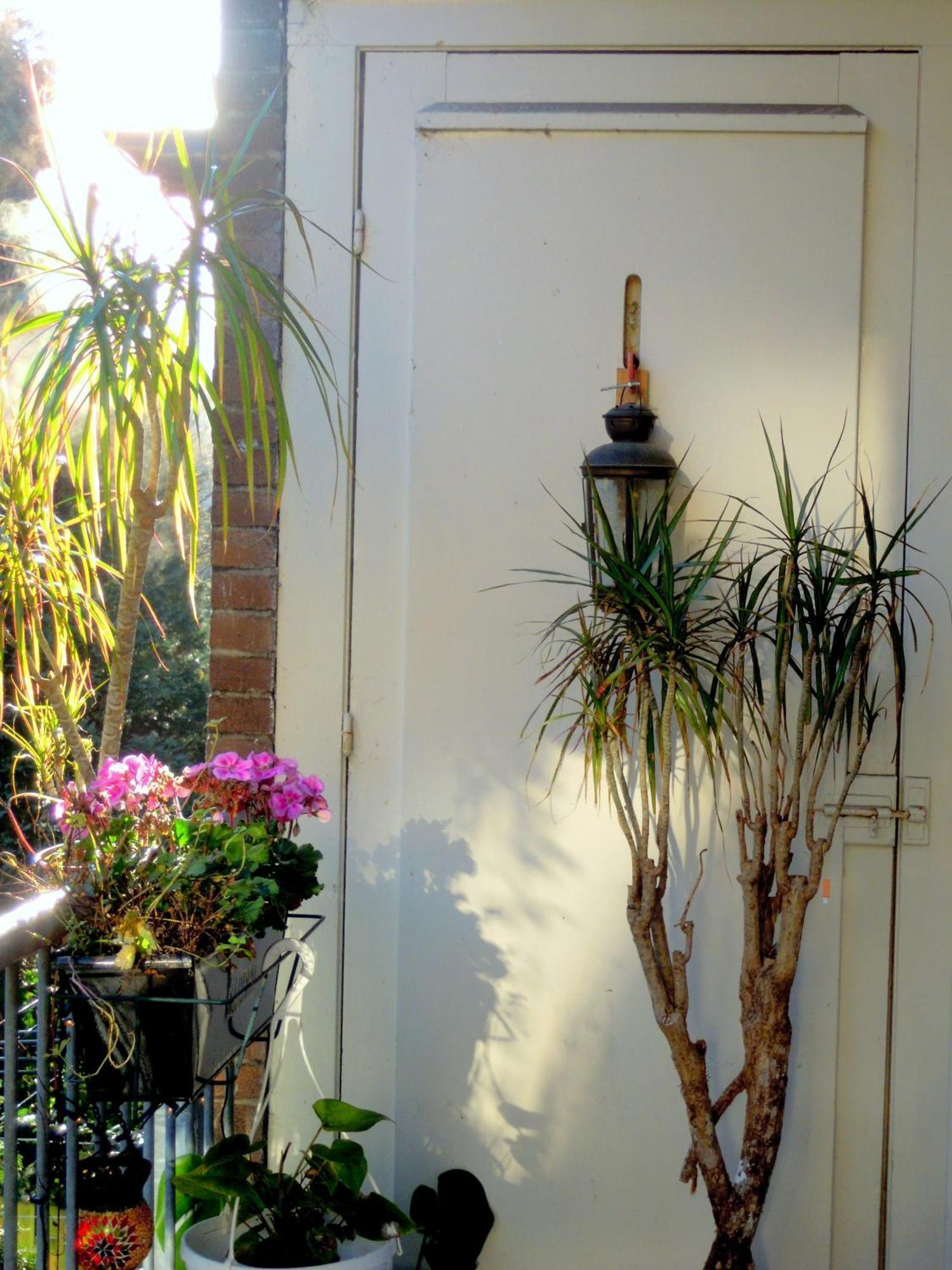 Missortelia B&B Amsterdam Zewnętrze zdjęcie