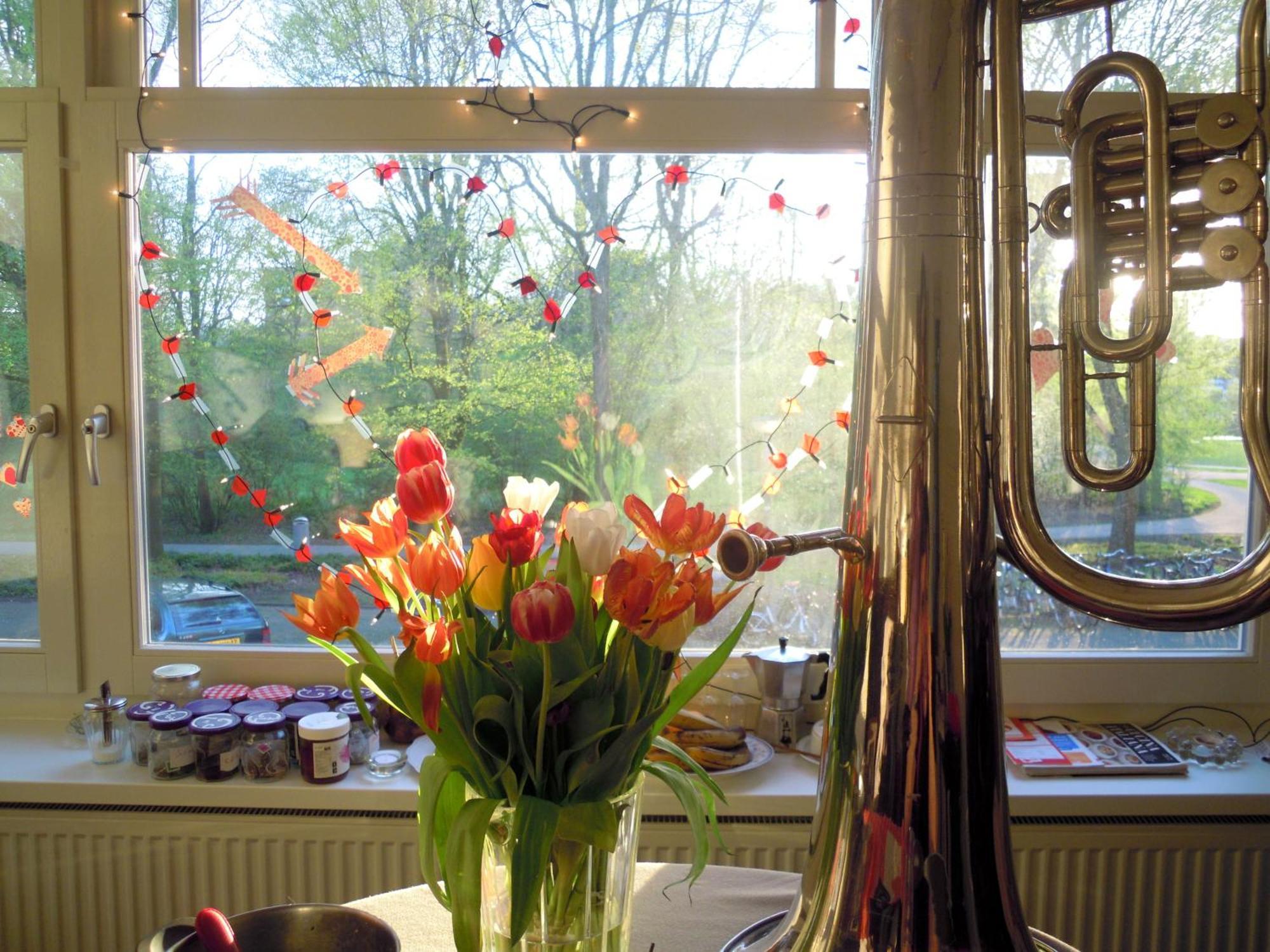 Missortelia B&B Amsterdam Zewnętrze zdjęcie